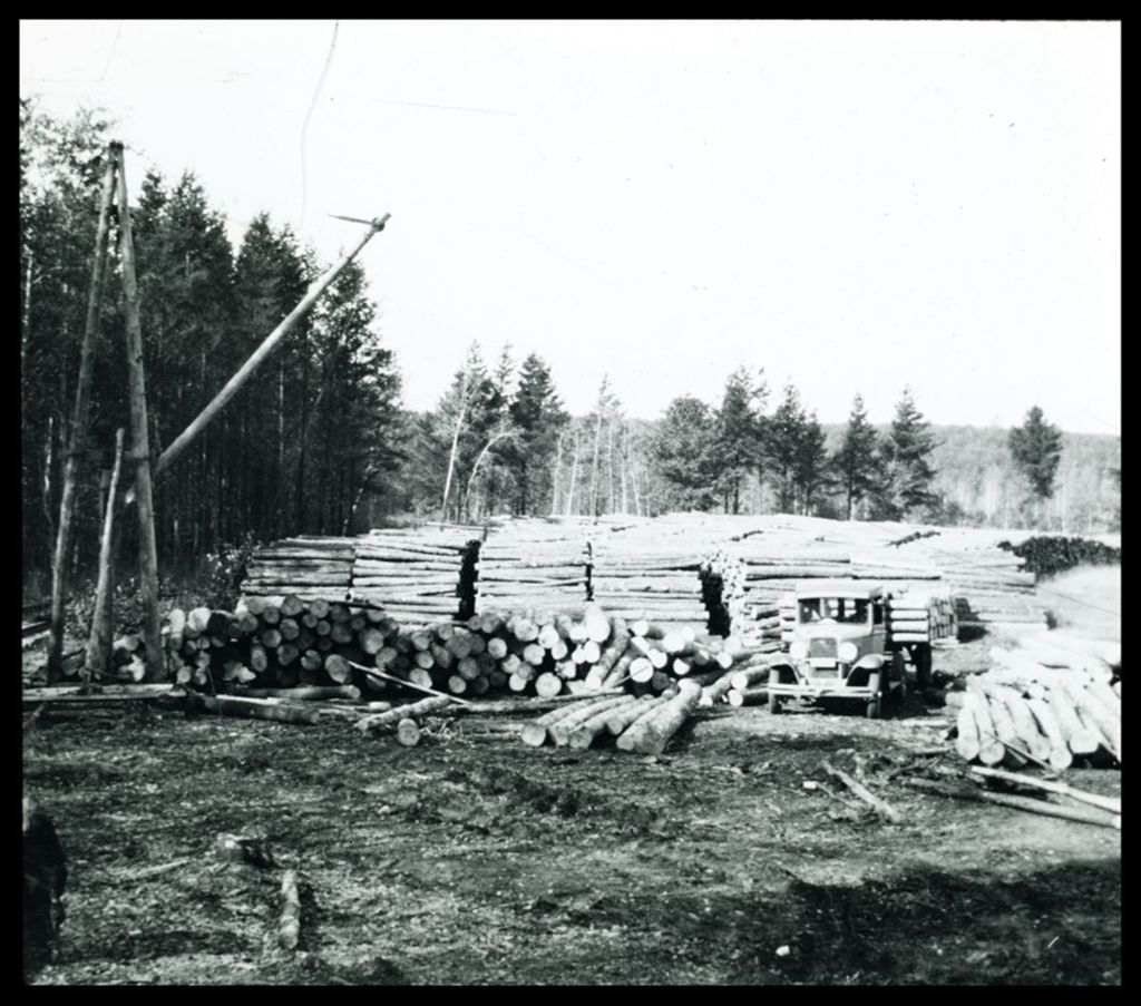 Miniature of Log piles stacked together at Hawthorne Lumber Company.