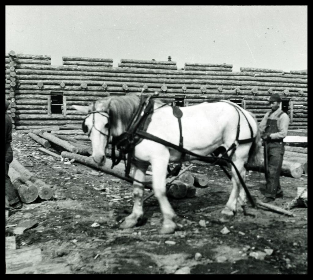 Miniature of Worker using a draft horse to build the Old Fort Dearborn exhibit