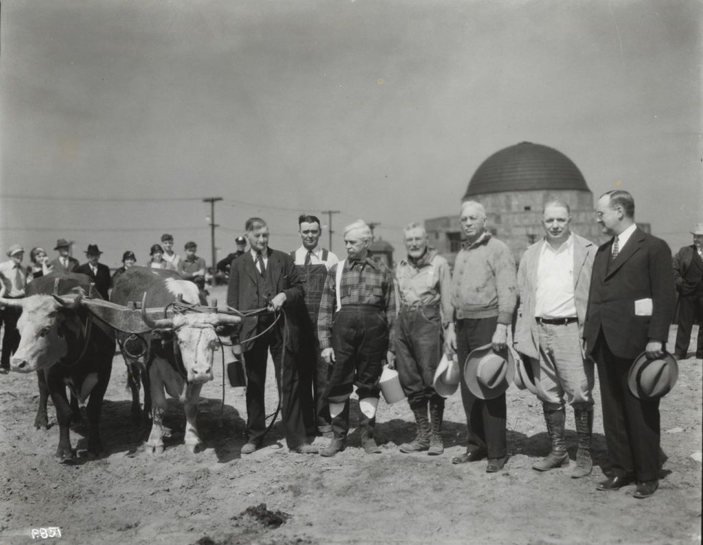 Miniature of Photo of a team of oxen breaking ground in front of the Adler Planetarium.