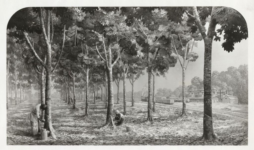 Diorama of a Sumatran modern rubber plantation