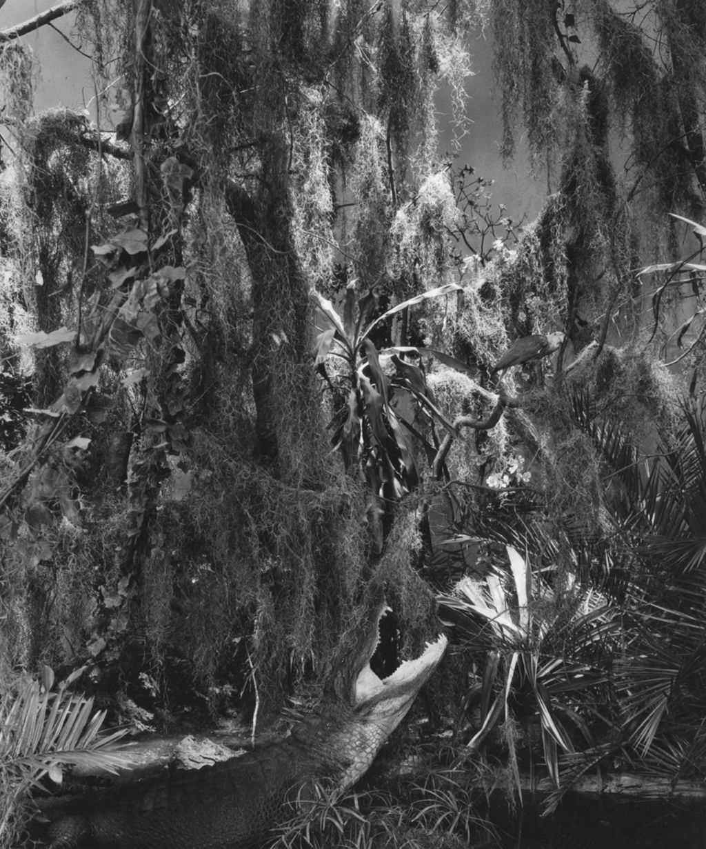 Miniature of Jungle scene at the Animal Behavior and the Environment exhibit