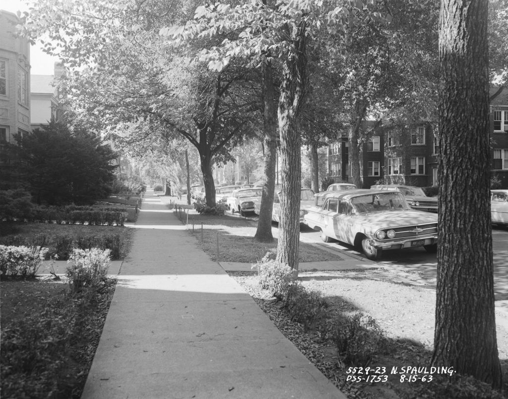Miniature of Spaulding Ave., North (5529-23, 5553, 5614-26, 5628-48); Spaulding Ave., South (1234, 1256, 1948); Springfield Ave. (1314, 1330); State St. and Madison St.; State St. and Marquette Ave.; State St. and Randolph St.; State St. and Vincennes Ave.; State St. and Wacker Dr.; State St. and 60th St.; State St. and 61st St.; State St. and 64th St.; State St. and 65th St.; State St. and 66th St.; State St. and 111th St. (Folder 465)