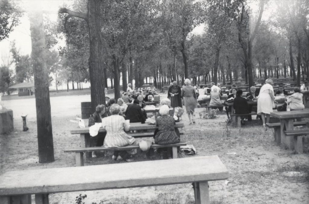 Miniature of Seniors at a picnic area