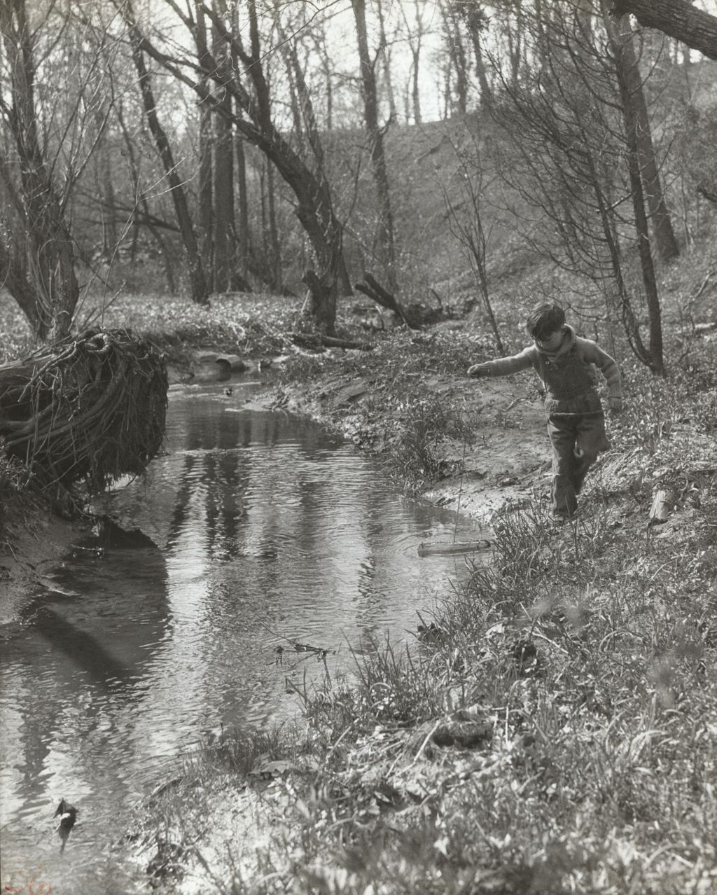 Miniature of Boy playing in water along stream bank