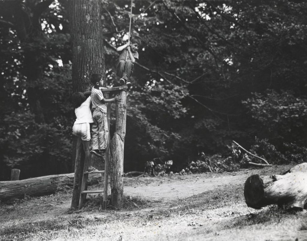 Miniature of Boy on rope swing
