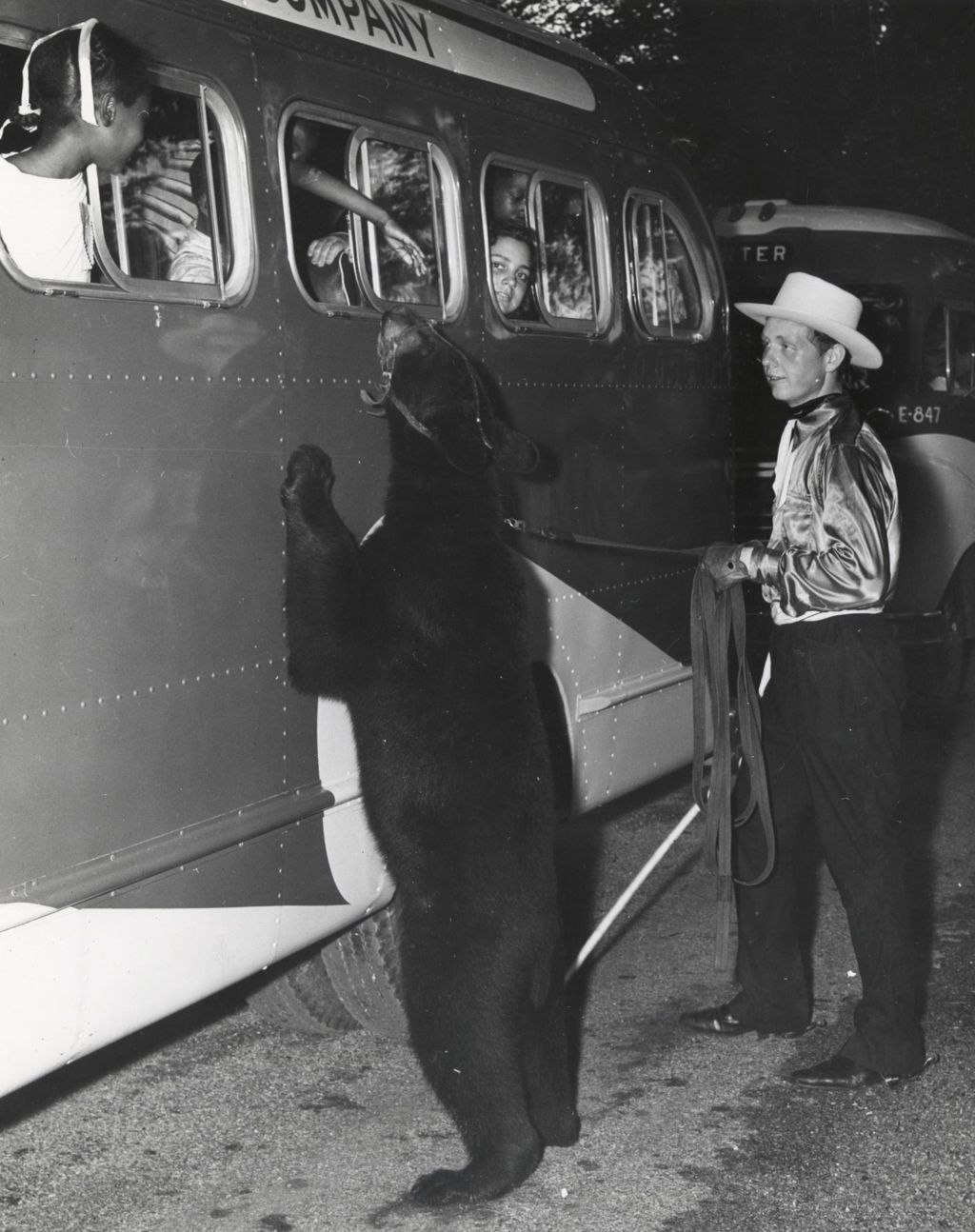 Bear on hind legs looking into bus filled with children from Hull-House during a trip to Hawthorn-Mellody Farms