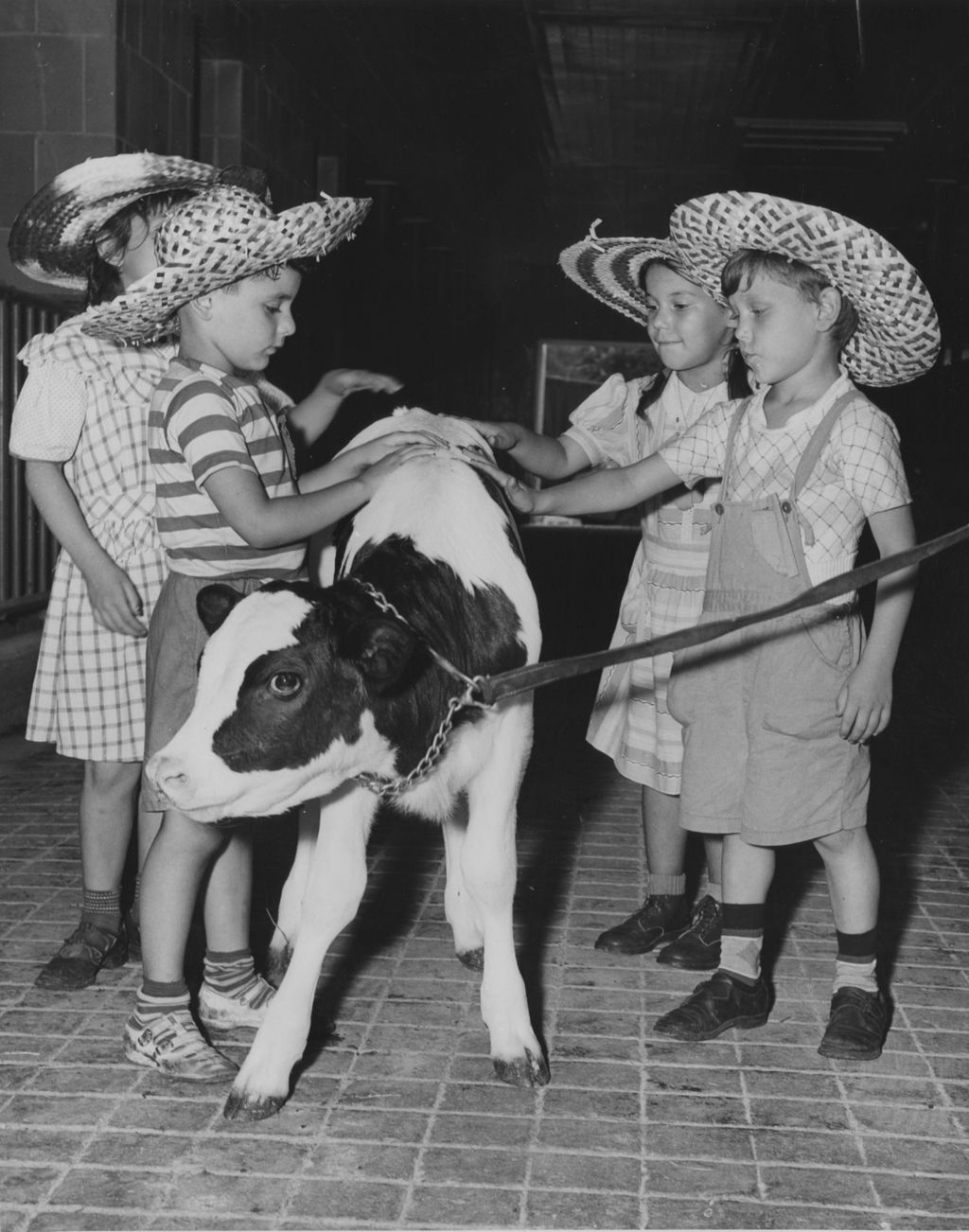 Five children pet a calf during a Hull-House trip to Hawthorn-Mellody Farms
