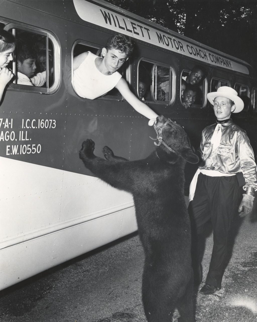 Boy petting a bear from a bus window during a Hull-House trip to Hawthorn-Mellody Farms