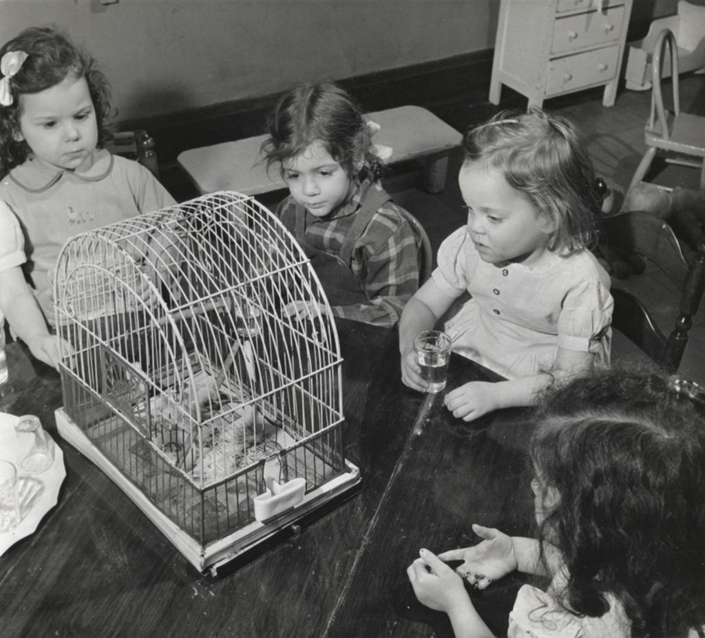 Girls watching bird in cage at Mary Crane Nursery