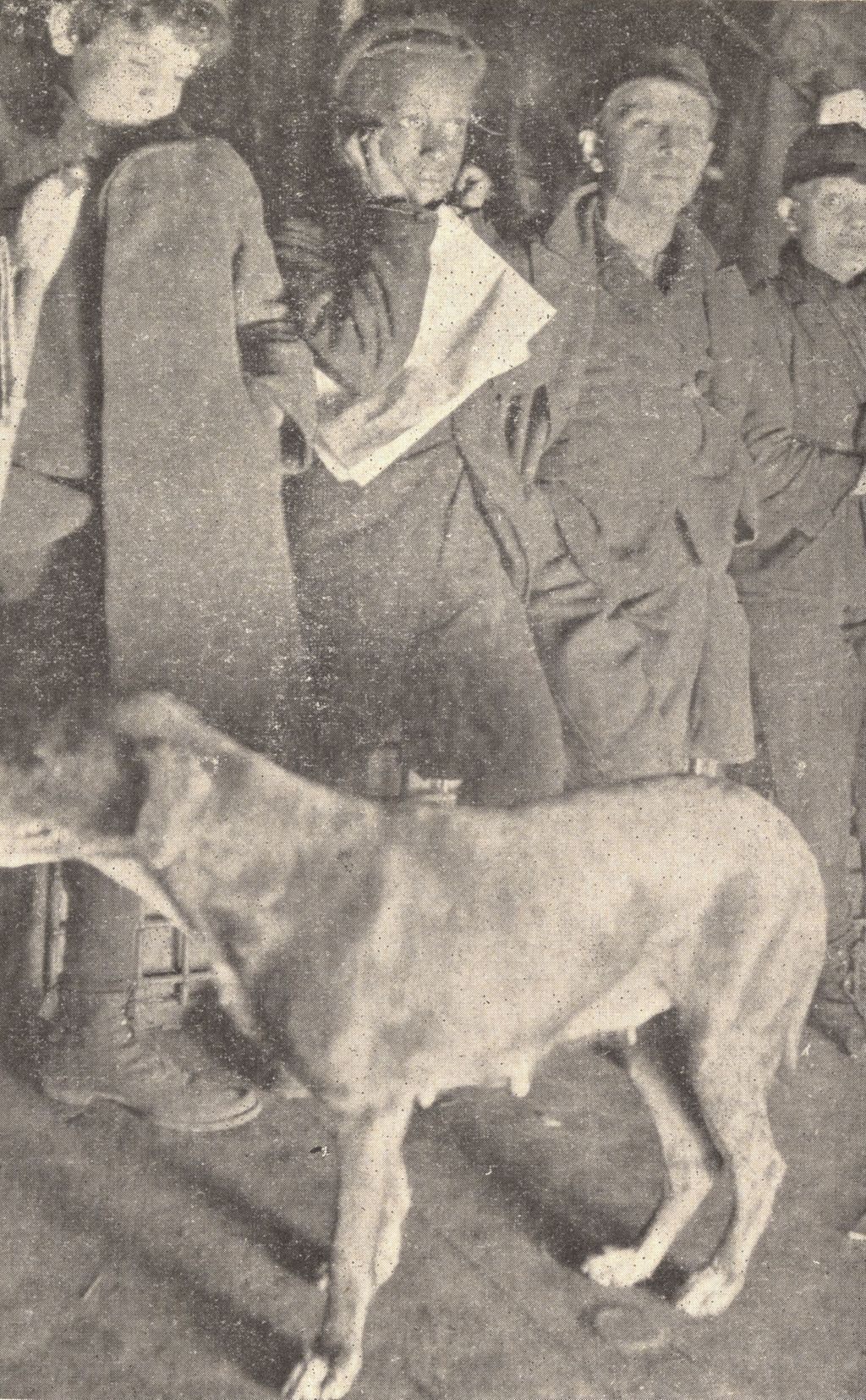 Miniature of Dog with four people standing in back