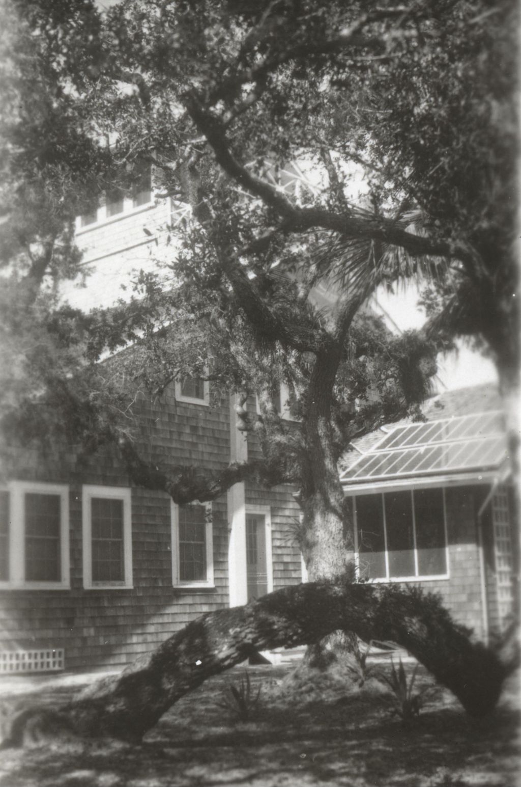 House photographed on Jane Addams' trip to Mexico