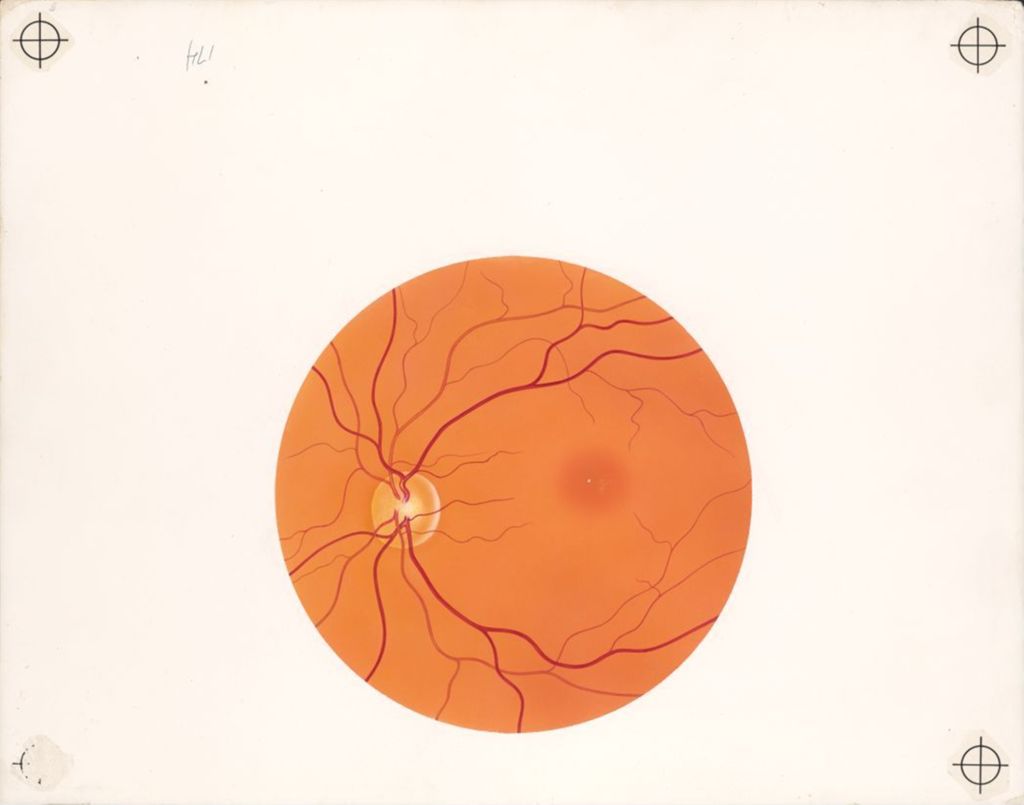 Miniature of Circulatory system of the eye