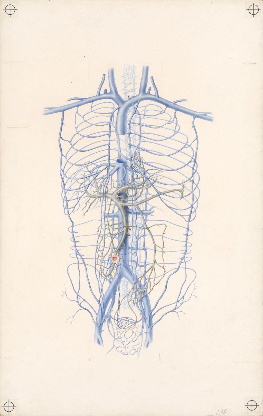 Doctor-patient explanatory atlas of anatomy, The three most important sites of anastomoses between the portal and systemic circulations
