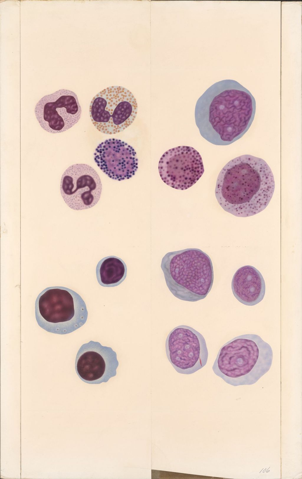 Miniature of Medical Profiles, Normal and Abnormal Blood Cells Seen In Peripheral Blood, Plate I