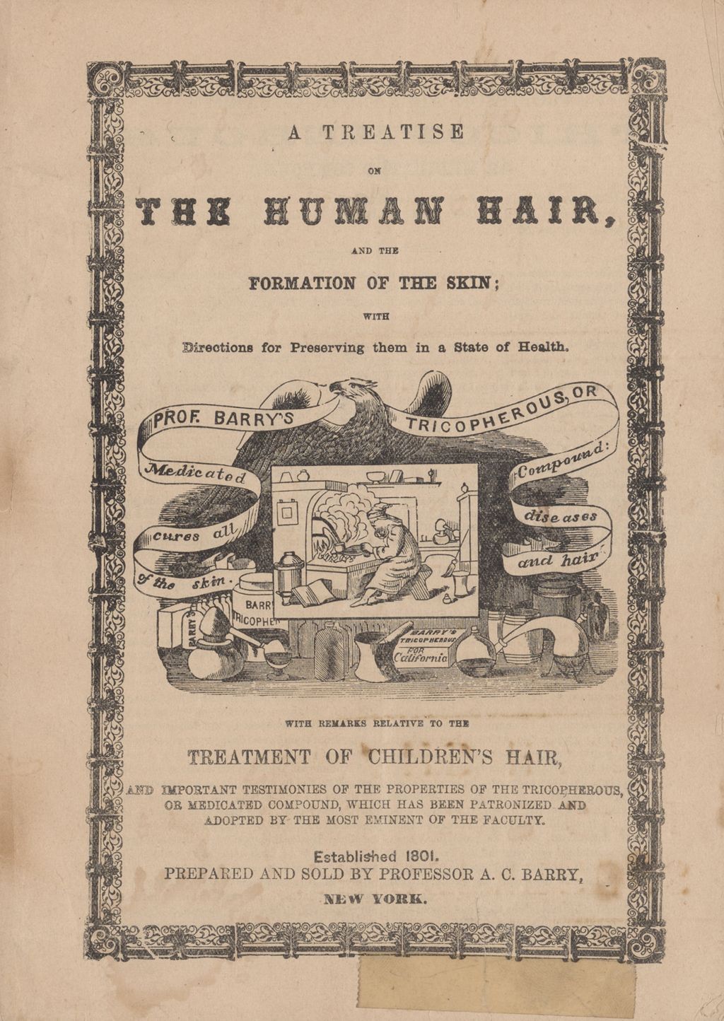 Miniature of “A treatise on the human hair...”
