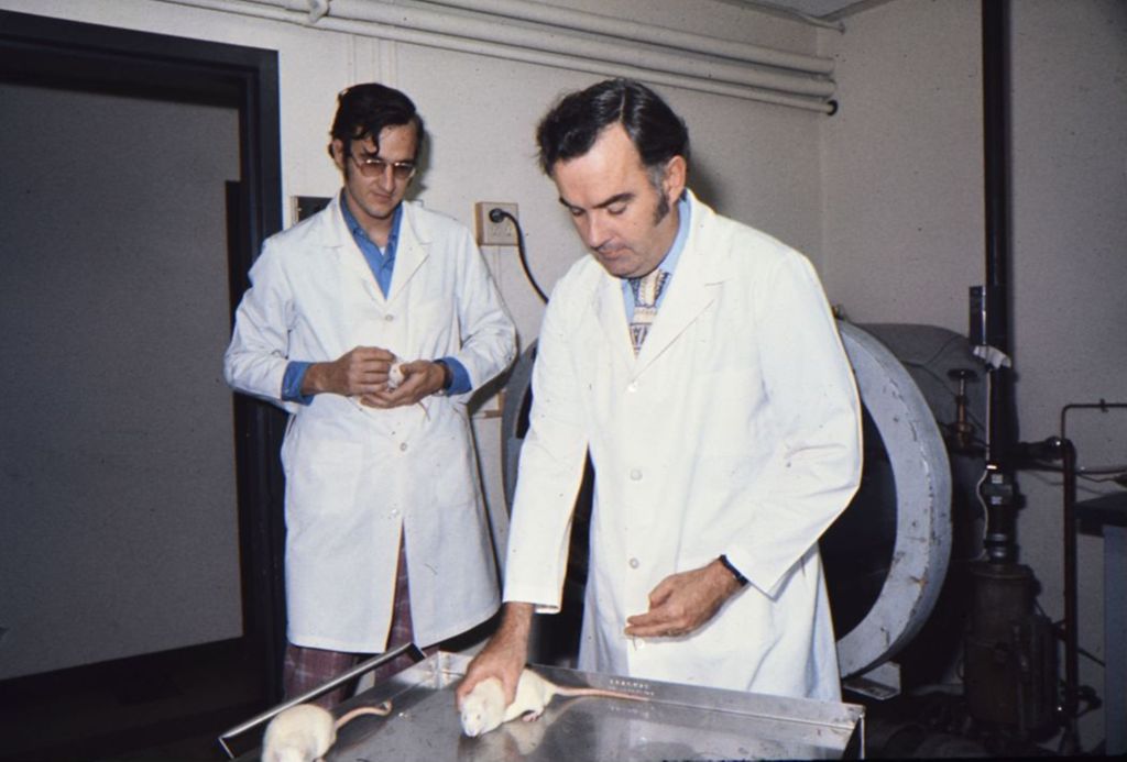 Miniature of Laboratory work with rats